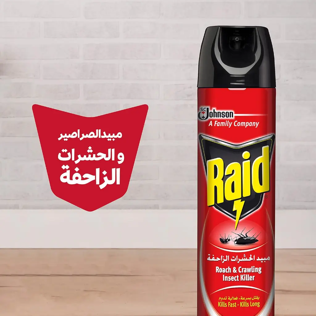 raid1.webp