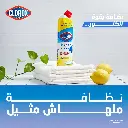 clorox gel1.webp