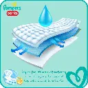 pampers pant8.webp