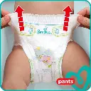 pampers pant9.webp
