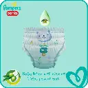 pampers pant7.webp