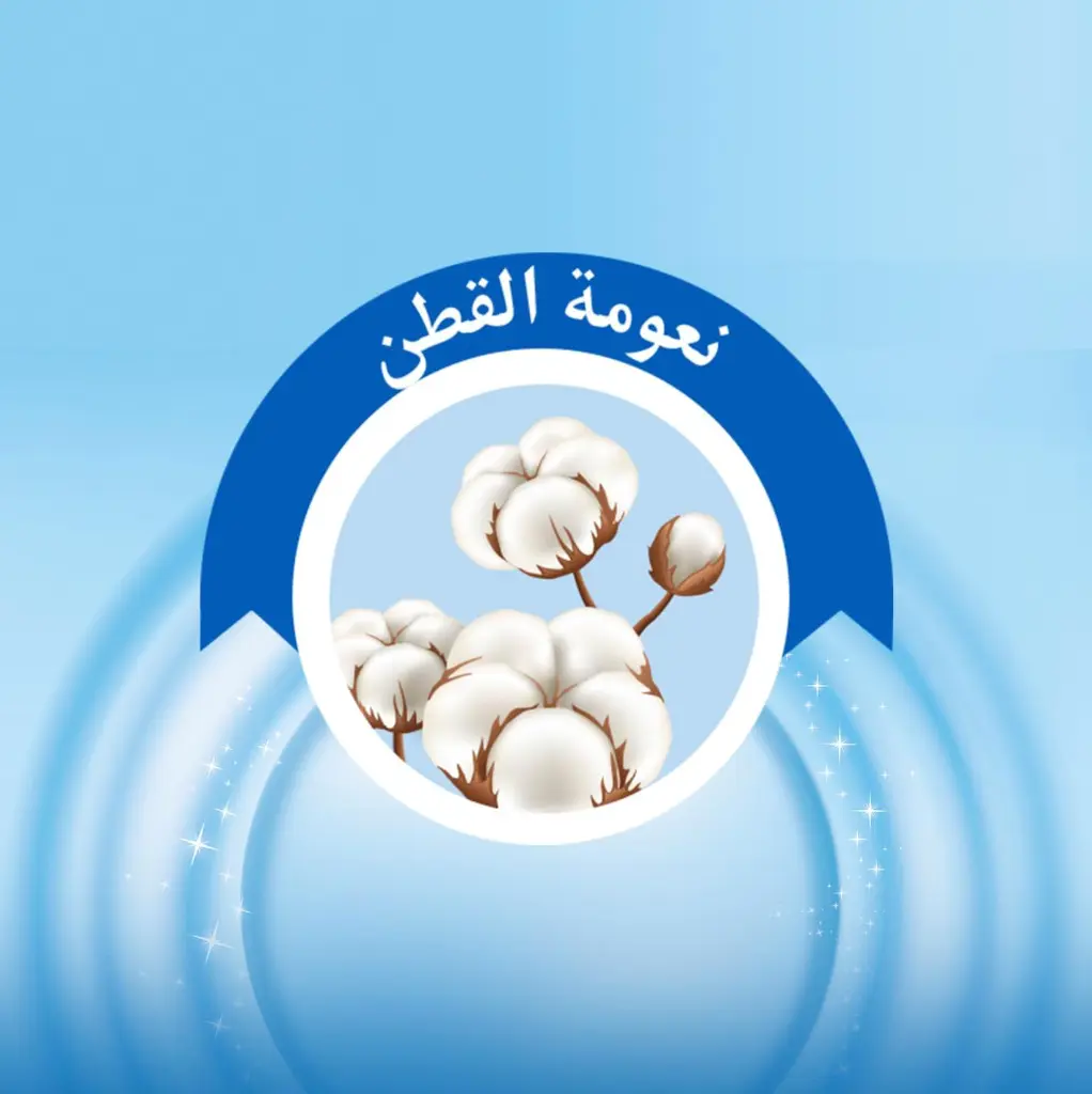 molfix 11.webp