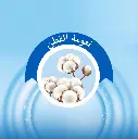 molfix 11.webp