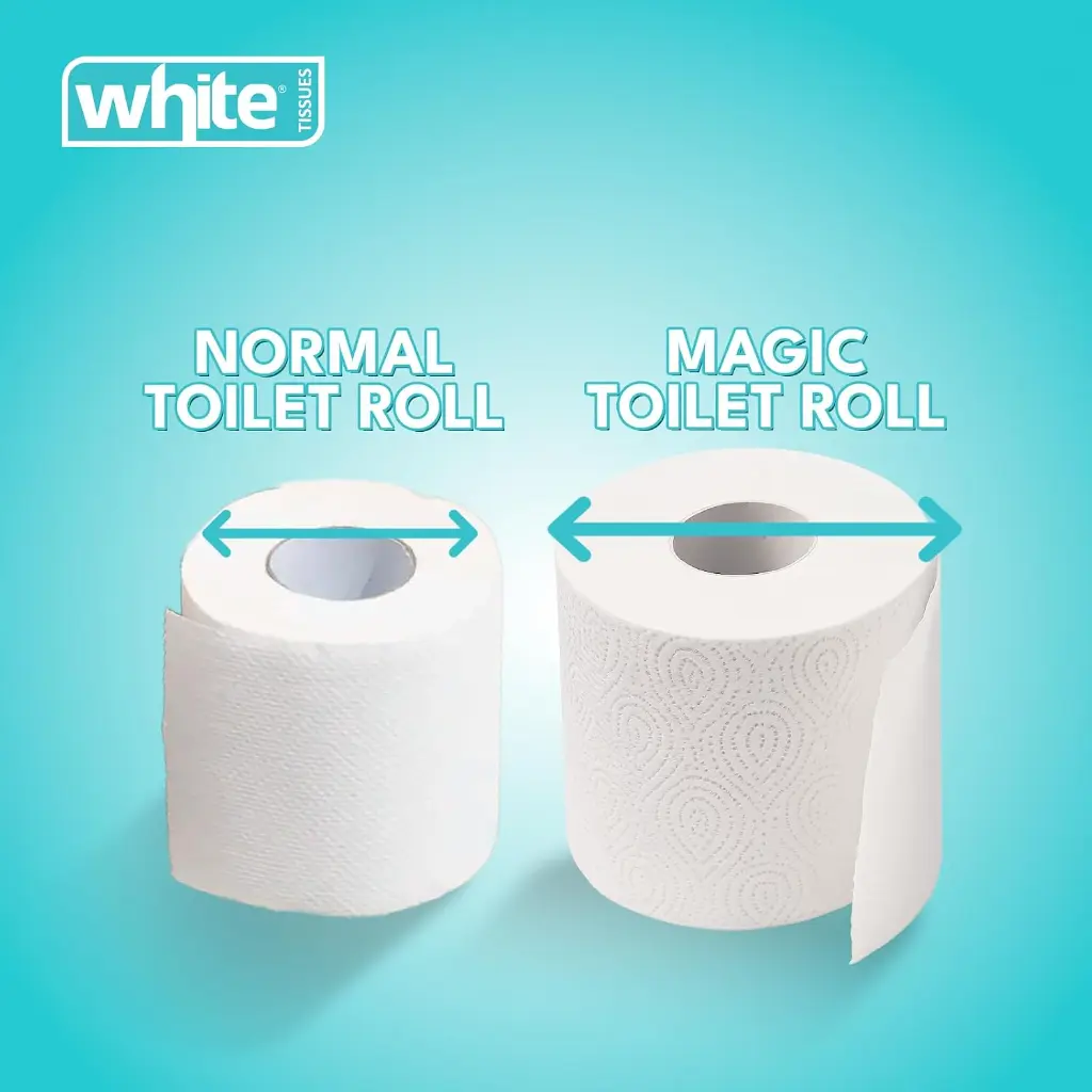 white toilet4.webp