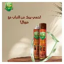 moral furinture2.webp